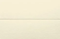 Placeringskort dubbla 10-pack elfenben