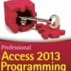 Professional Access 2013 Programming