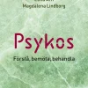 Psykos : förstå, bemöta, behandla