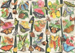 Pussel 1000 bitar - Tropical Butterfly