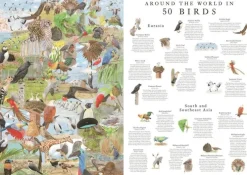 Pussel 1000 bitar Around the World in 50 Birds