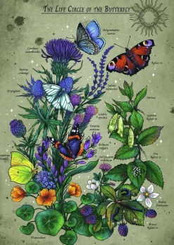 Pussel 1000 bitar Lifecircle Butterfly