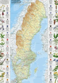 Pussel 1000 bitar Sverige med landskapsblommor pussel