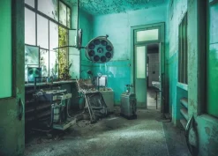 Pussel 1000 bitar The Madhouse