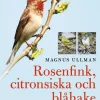 Rosenfink, citronsiska och blåhake : hur fåglar får sina färger