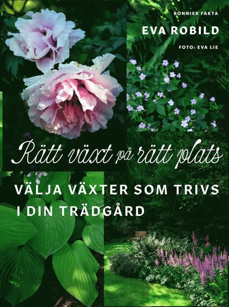 Rätt växt på rätt plats : välja växter som trivs i din trädgård