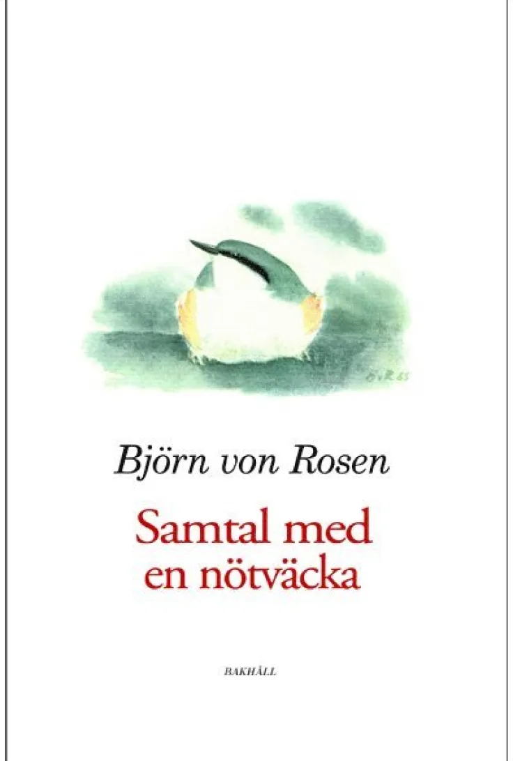 Samtal med en nötväcka