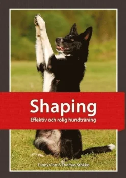 Shaping : effektiv och rolig hundträning