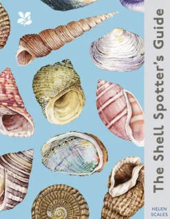 Shell Spotter's Guide