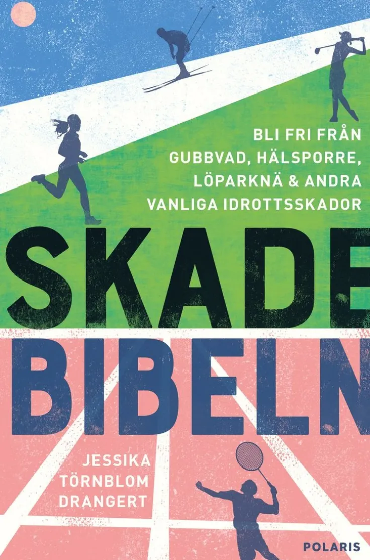 Skadebibeln