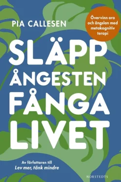 Släpp ångesten, fånga livet : övervinn oro och ängslan med metakognitiv terapi
