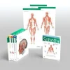 Sobotta Atlas of Anatomy, Package, 17th ed., English/Latin