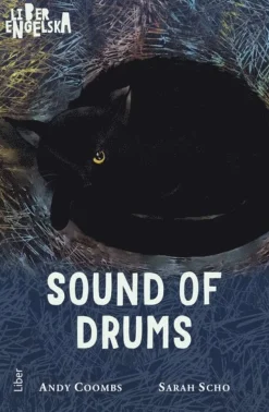Sound of Drums