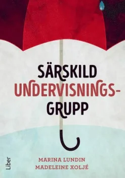 Särskild undervisningsgrupp