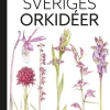 Sveriges orkidéer
