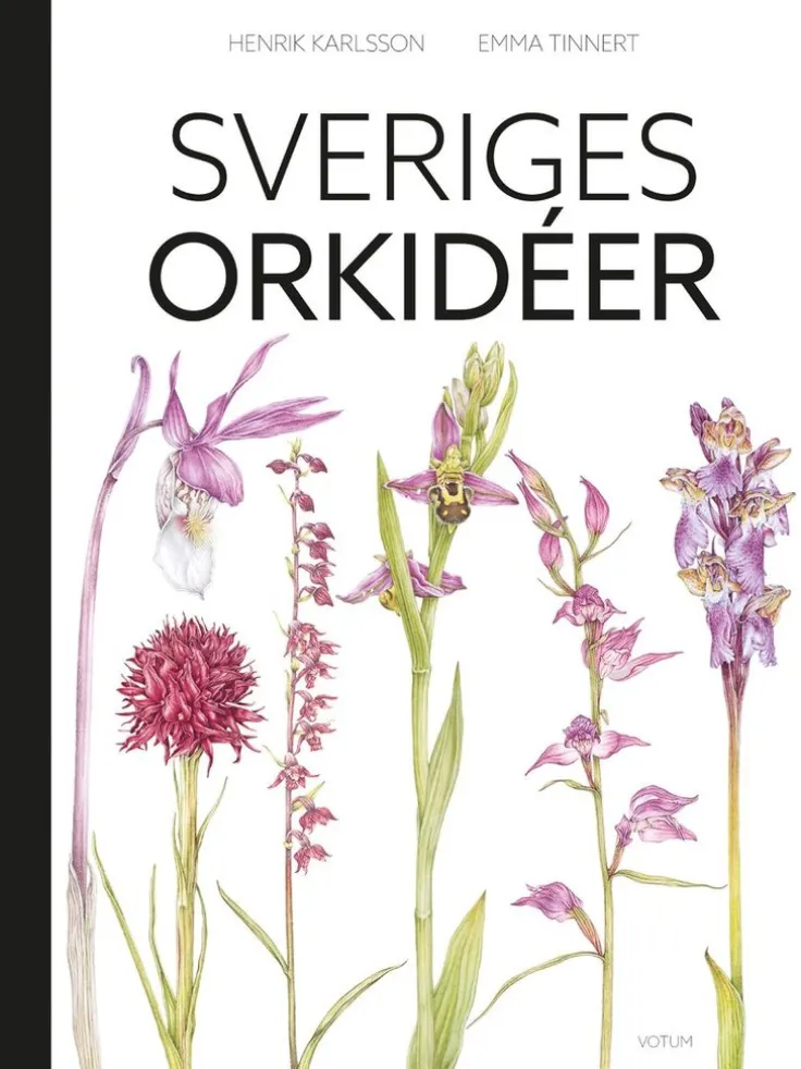 Sveriges orkidéer