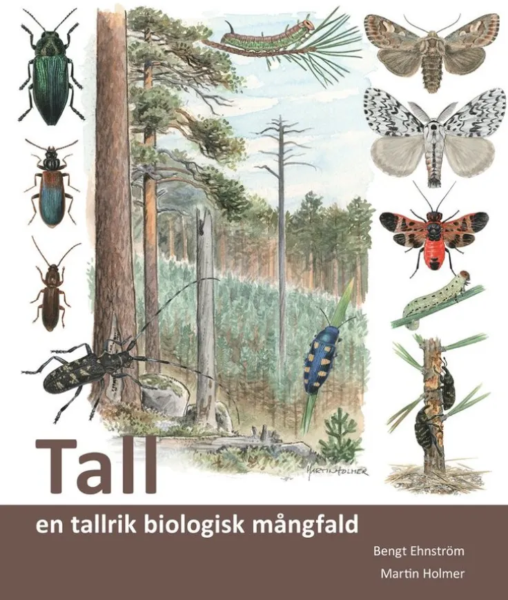 Tall : en tallrik biologisk mångfald