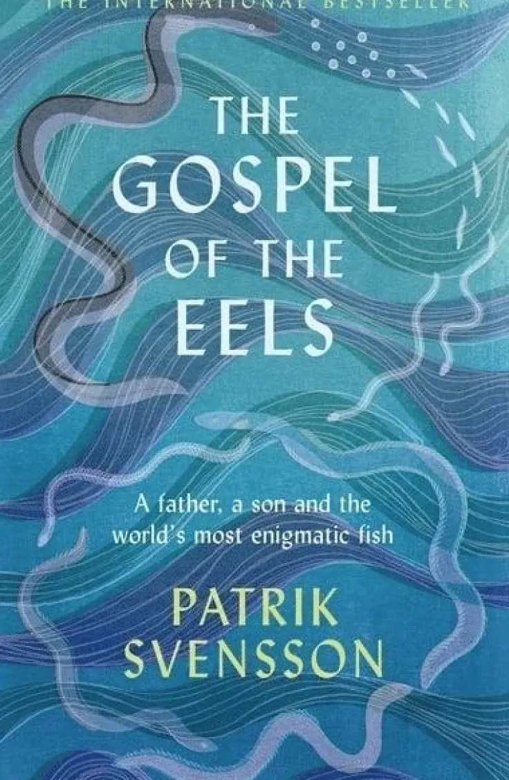 The Gospel of the Eels