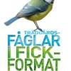 Trädgårdsfåglar i fickformat