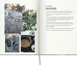 Trädgårdskalender Hanna Wendelbo