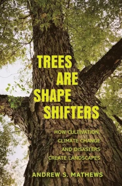 Trees Are Shape Shifters
