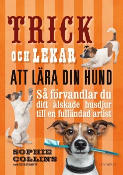 Trick och lekar att lära din hund : så förvandlar du ditt älskade husdjur..