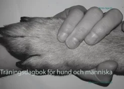 Träningsdagbok för hund och människa : allt börjar med rörelse
