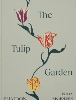 Tulip Garden