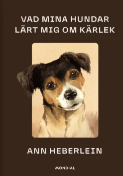 Vad mina hundar lärt mig om kärlek