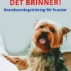Vakna det brinner! : brandvarningsträning för hundar