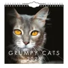 Väggkalender 2026 Grumpy Cats Mini
