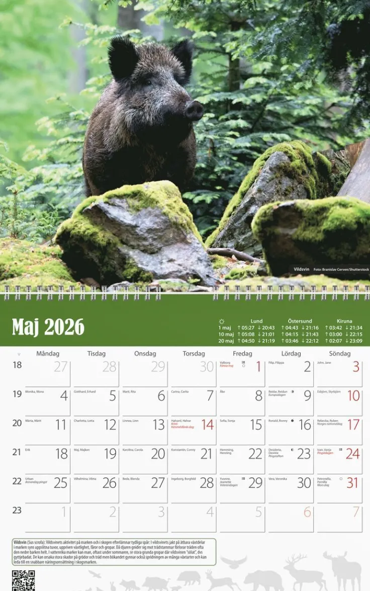 Väggkalender 2026 Jaktkalender