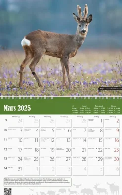 Väggkalender 2025 Jaktkalender