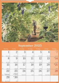 Väggkalender 2025 Klassiska Sverige