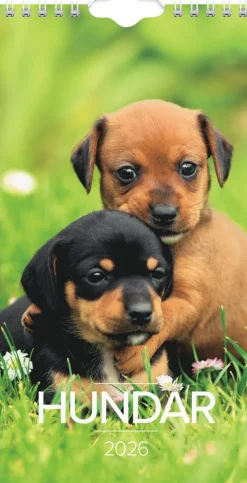 Väggkalender 2026 Liten Hundkalender