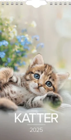 Väggkalender 2025 Liten Kattkalender