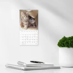 Väggkalender 2025 Liten Kattkalender