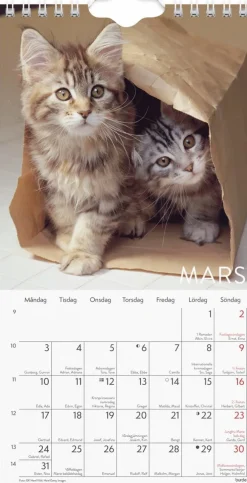 Väggkalender 2025 Liten Kattkalender