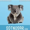 Väggkalender 2026 Sötnosar