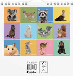 Väggkalender 2026 Sötnosar