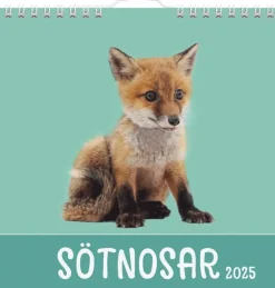 Väggkalender 2025 Sötnosar