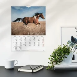 Väggkalender 2025 Stora Hästkalendern