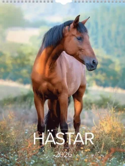 Väggkalender 2026 Stora Hästkalendern
