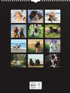 Väggkalender 2025 Stora Hundkalendern
