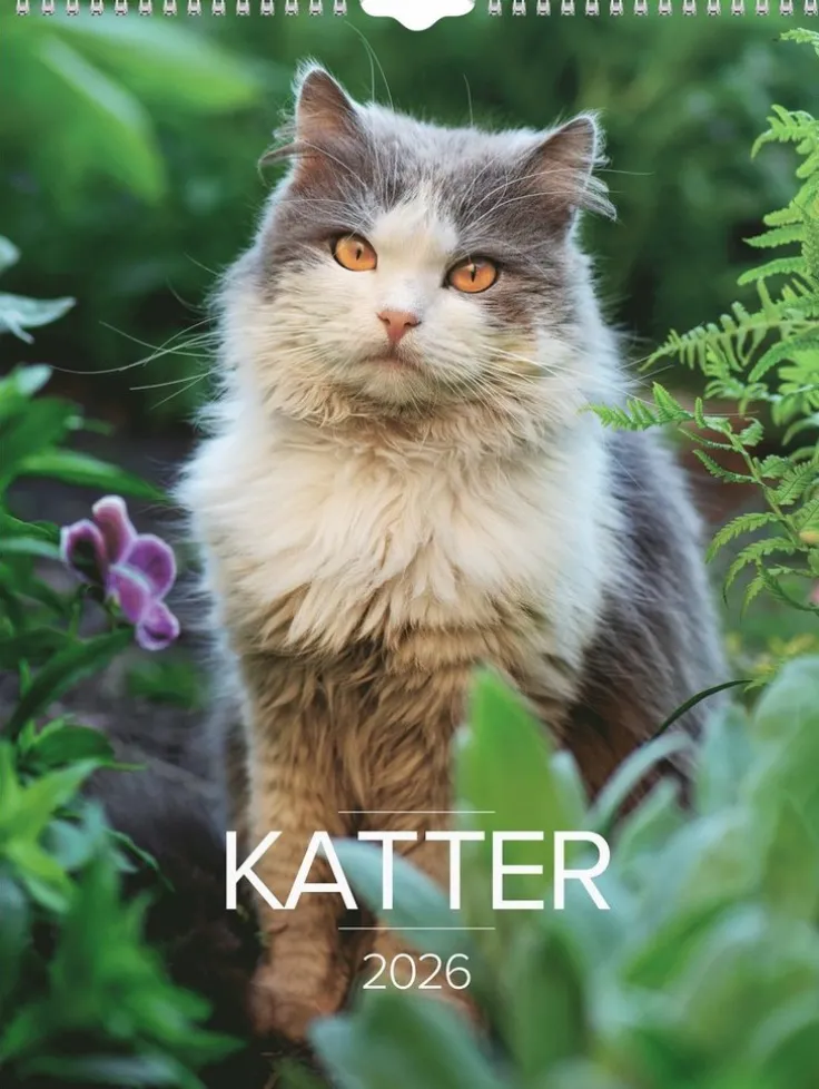 Väggkalender 2026 Stora Kattkalendern