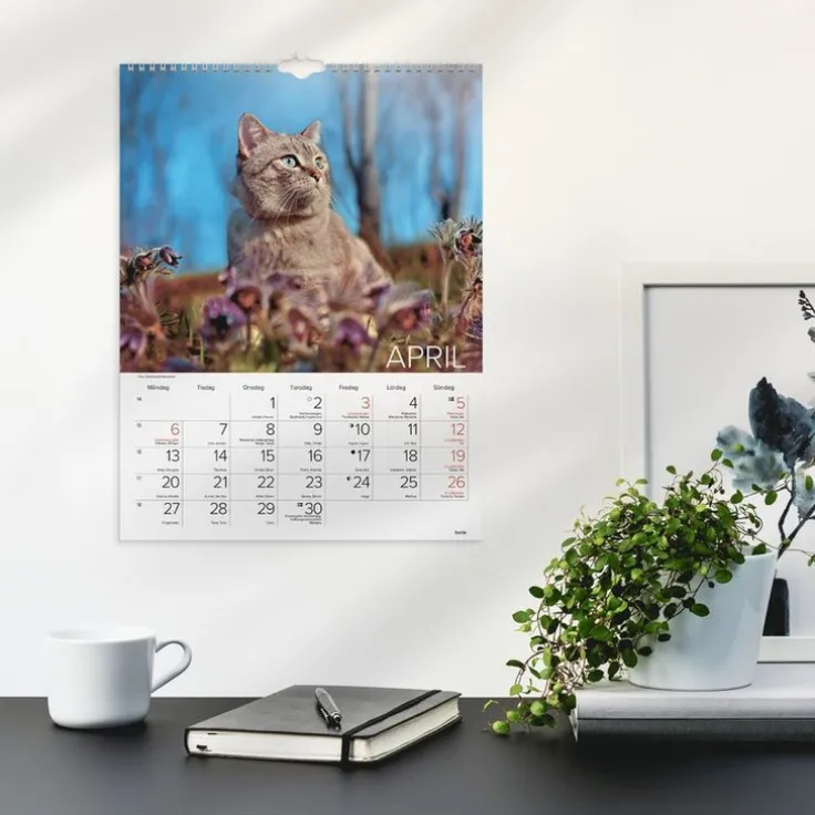 Väggkalender 2026 Stora Kattkalendern