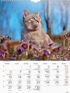 Väggkalender 2026 Stora Kattkalendern