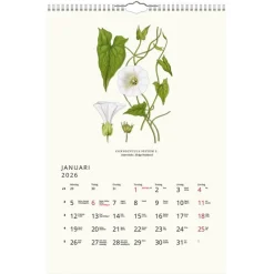 Väggkalender 2026 Växter