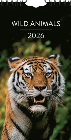 Väggkalender 2026 Wild animals