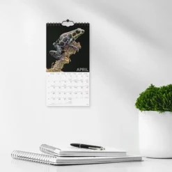 Väggkalender 2026 Wild animals